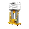 Подъемник мачтовый несамоходный GTWY 8-200S (AC&DC; 200 кг; 8 м) SMARTLIFT