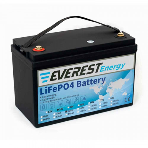 Тяговый аккумулятор Everest Energy LiFePO4 24V60Ah + LCD + Bluetooth