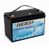 Тяговый аккумулятор Everest Energy LiFePO4 24V60Ah + LCD + Bluetooth