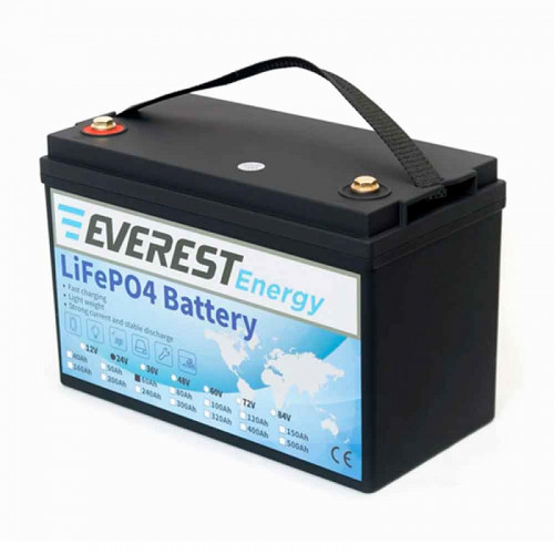 Тяговый аккумулятор Everest Energy LiFePO4 24V60Ah + LCD + Bluetooth