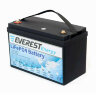 Тяговый аккумулятор Everest Energy LiFePO4 24V60Ah + LCD + Bluetooth