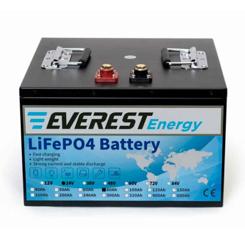 Тяговый аккумулятор Everest Energy LiFePO4 24V80Ah + LCD + Bluetooth