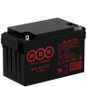 Тяговый аккумулятор WBR EVX 65-12G