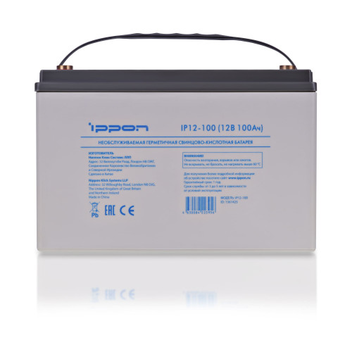 Аккумулятор Ippon IP12-100