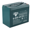 Тяговый аккумулятор RuTrike 6-EVF-45 (12V45A/H C5)