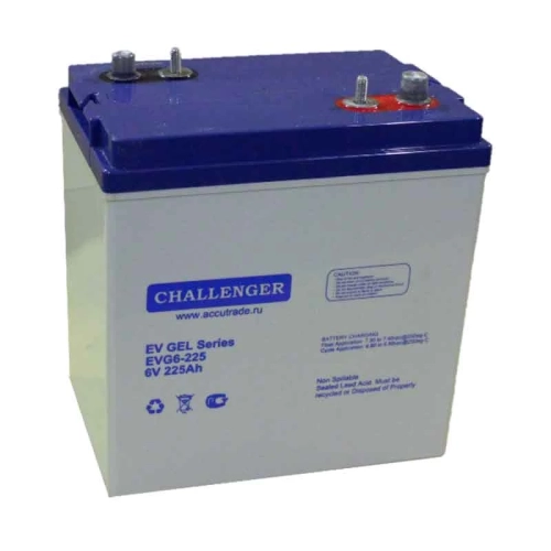 Тяговый аккумулятор Challenger EVG6-225 (6V / 196Ah)