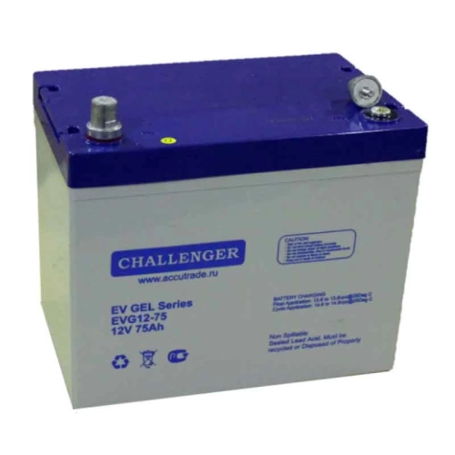 Тяговый аккумулятор Challenger EVG12-75 (12V / 66Ah)
