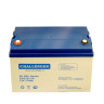 Тяговый аккумулятор Challenger EVG12-110
