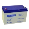 Тяговый аккумулятор Challenger EVG12-110