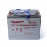 Тяговый аккумулятор Everest TNE 12-90