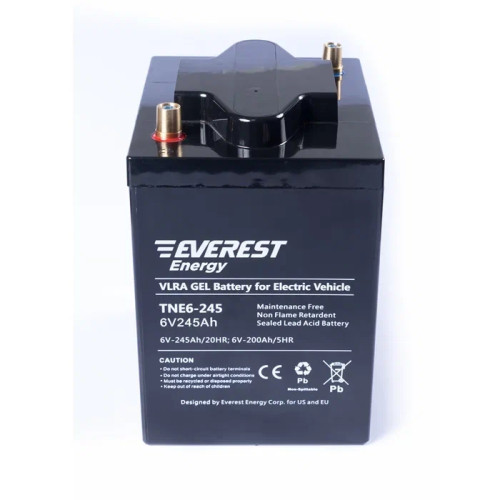 Тяговый аккумулятор Everest TNE 6-245 (6V-200AH/C5)