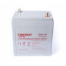 Тяговый аккумулятор Everest TNE 6-270 (6V-235AH/C5)