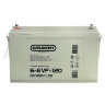 Тяговый аккумулятор Gelbert 6-EVF-120 (12V126A/H C5)