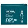 Тяговый аккумулятор Gelbert 6-EVF-45 (12V47.5A/H C5)