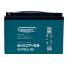 Тяговый аккумулятор Gelbert 6-DZF-28 (12V33A/H C5)