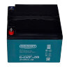 Тяговый аккумулятор Gelbert 6-DZF-28 (12V33A/H C5)