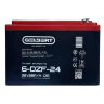 Тяговый аккумулятор Gelbert 6-DZF-24 (12V26A/H C5)