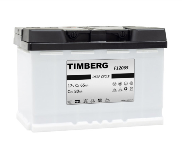 Тяговый аккумулятор TIMBERG MONOBLOC F12065 (12V / 65Ah)